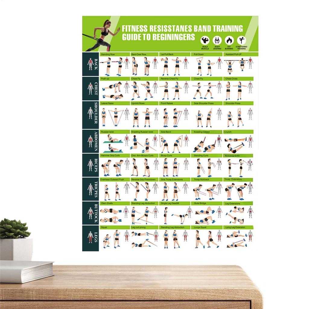 Exercise Posters Resistance Bands Fitness Accessories Womens Strength Training Guide Gym Decor for Muscle Building Stretching
