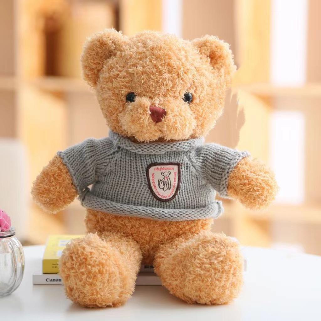 Teddy Bear Plush Toy Gift Box - Stuffed Bear Doll for Birthdays