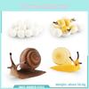 Insect Dragonflies Snails Life Cycle Model Pvc Educational Display For Science Learning