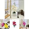Butterfly Orchid Synthetic Flower With Silk And Plastic Materials For Indoor Events And Photography