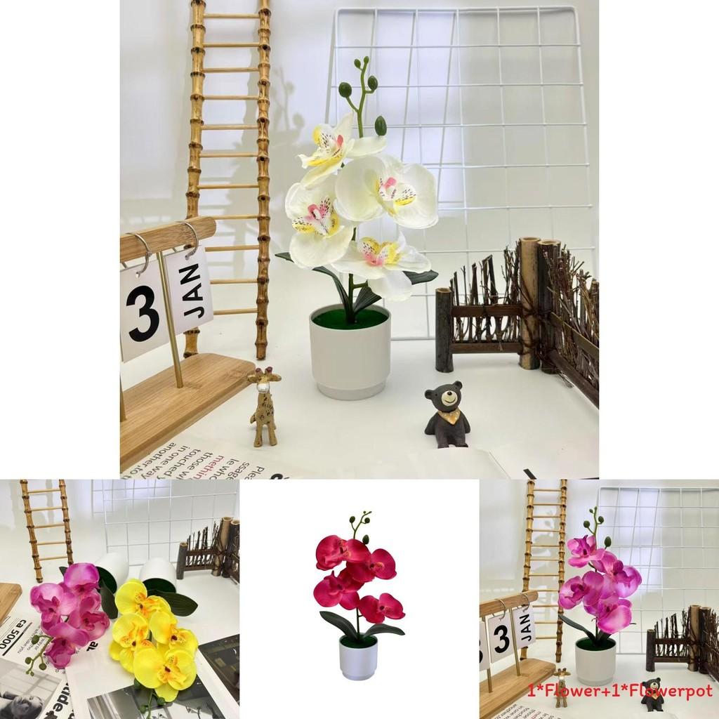 Butterfly Orchid Synthetic Flower With Silk And Plastic Materials For Indoor Events And Photography