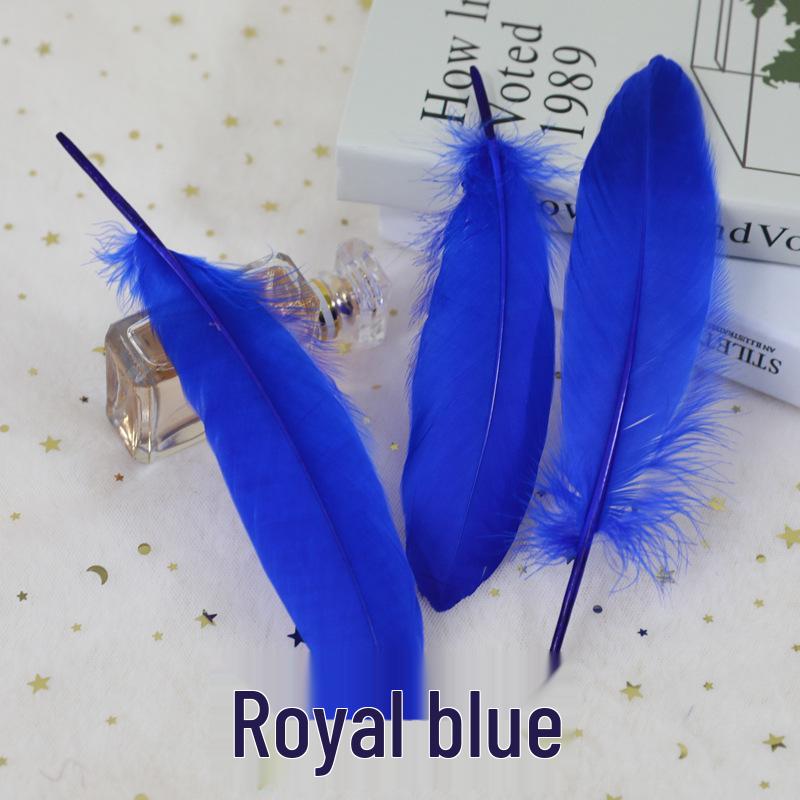 Barevná barvená velká husí pera pro DIY řemesla, ručně vyráběné dekorace a projekty pro mateřské školy