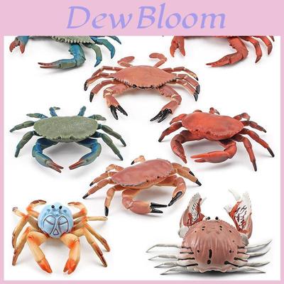 Realistic Plastic Crab Model Collection Vibrant Colors For Home Decor Educational Display