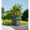 Blomkruka Garden ID Antracit Fyrkantig Steneffekt 40 x 35 cm