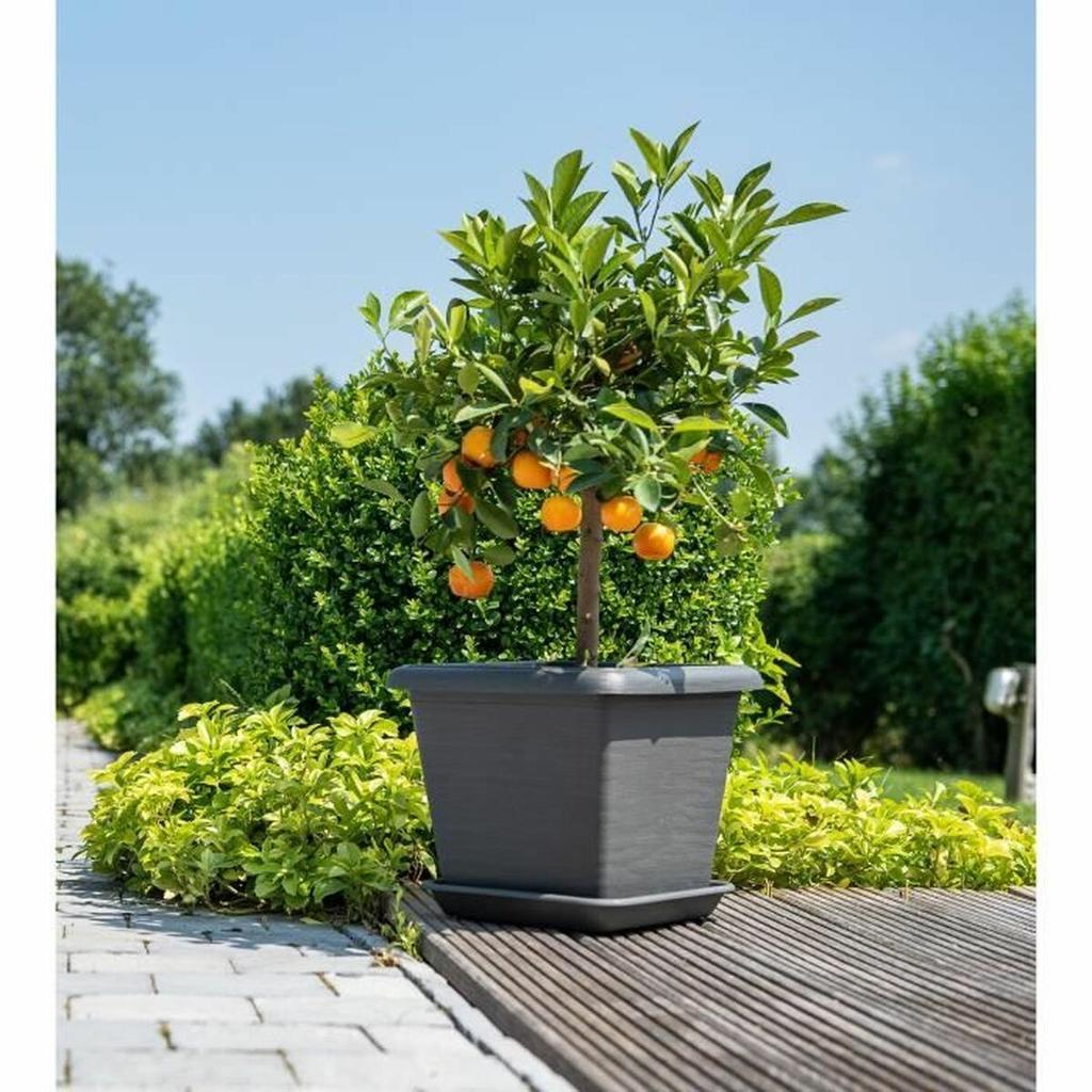 Blomkruka Garden ID Antracit Fyrkantig Steneffekt 40 x 35 cm