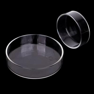 Glass Aquarium Feeding Bowl Transparent Durable Fish Feeder Tray Clear Round Tray Fish Tank Food Dispenser for Baby Fish Shrimp