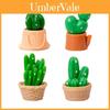Decoração de casa – Terrários decorativos