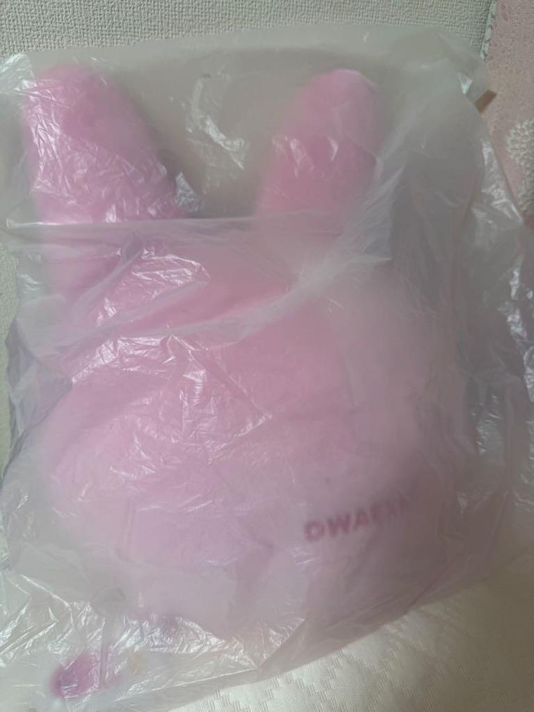 [USED] StrayKids Seoul Concert SKZOO BABY Ver. Toekki