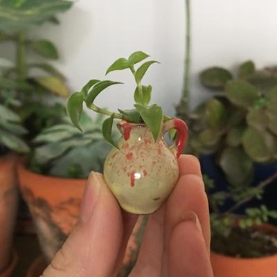 Mini Ceramic Pot Refrigerator Magnet Kitchen Locker Fridge 3D Miniature Ceramic Jar Model