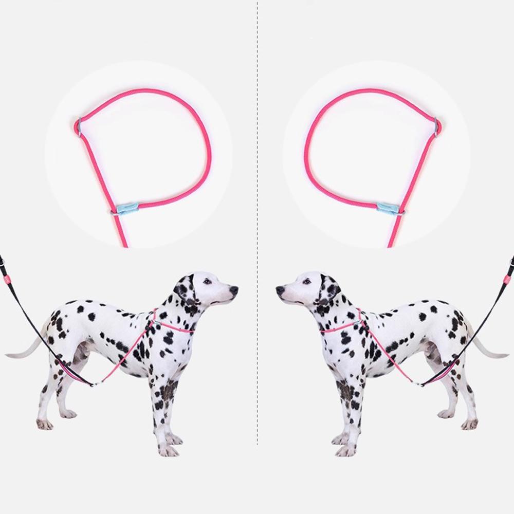 Leashes Pet Dog Choking Rope Leash Collar P-Shaped Chain Slip Lead Control Leash for Small Large Competition Dogs