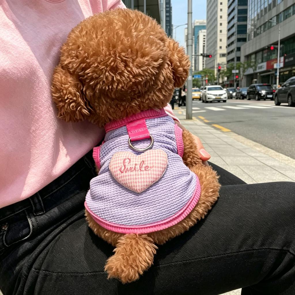 Cat dog clothes spring and summer pet British short blue cat anti-hair loss breathable sun protection tractable teddy bear vest