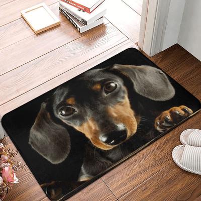 Model de câine teckel Covor de intrare Covor Decor pentru casa Covoraș anti-alunecare Animale de companie Covoare pentru zonă de decorare