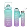 Gradient Color Large-Capacity Frosted Sports Water Bottle with Straw - 3-Piece Set