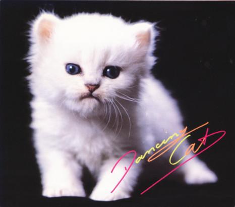 

CD РАЗНЫЕ ИСПОЛНИТЕЛИ - Танцующий кот Том. 1 - World Dance Hi R32P1253 RCA 1990 Япония Танцевальная и Электронная Музыка Б/У