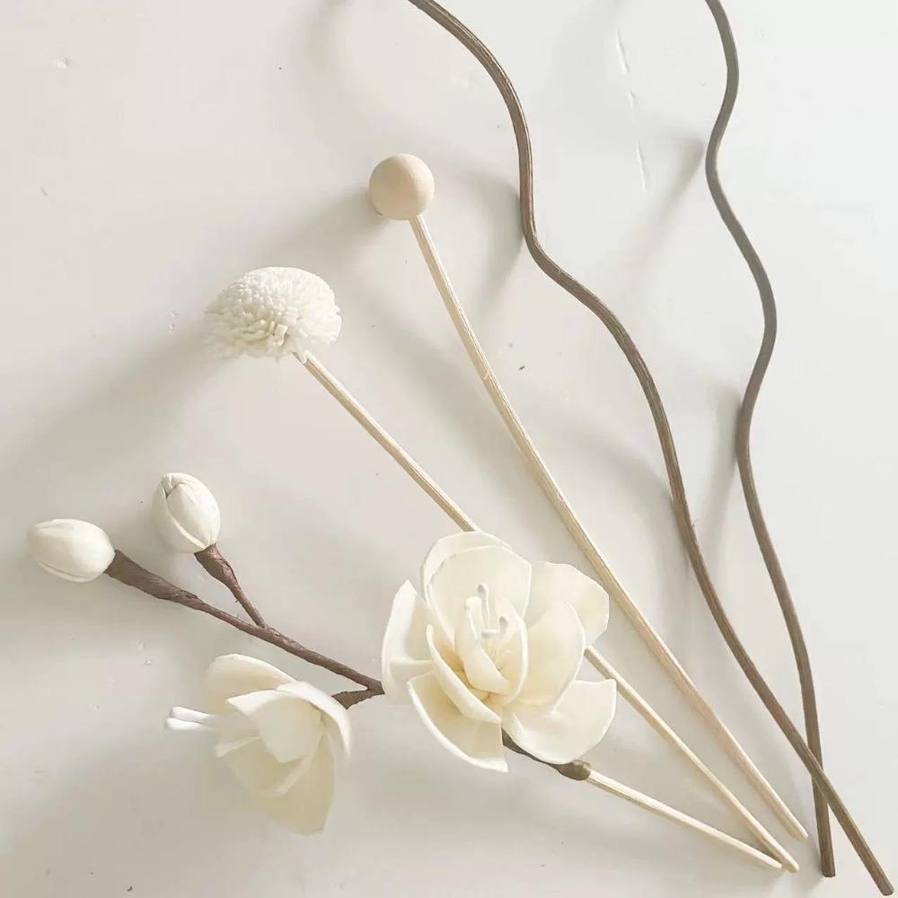 5 Pièces/6 Pièces Bâtonnets Parfumés aux Fleurs Aromathérapie Sans Flamme Bâtonnets en Rotin Diffuseur de Parfum Décoration d'Intérieur DIY