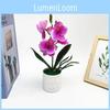 Butterfly Faux Orchid Plant With Plush Material Wedding Decor Photography Props