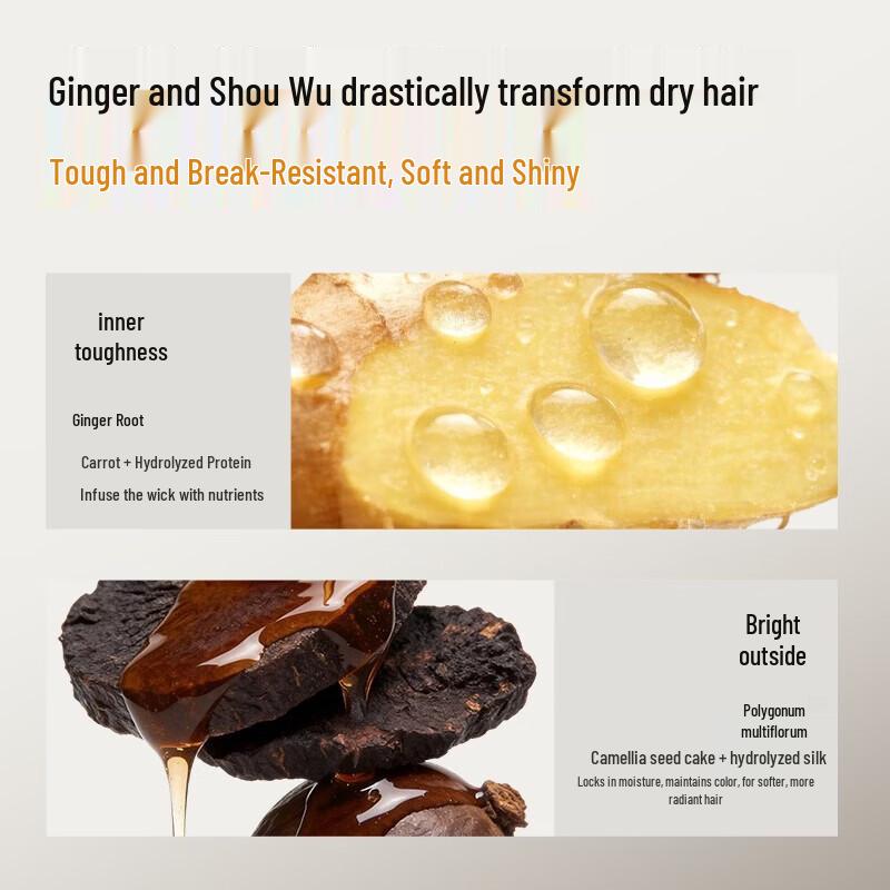 Long Hair Village Ginger Black Rice Volumizing Shampoo