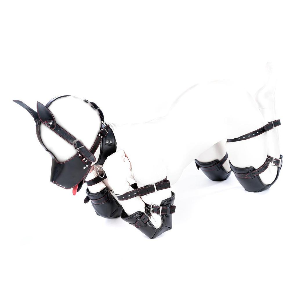 Five-Piece Kinky Pet Play Set: Crawling Suit, Kneeling Gloves, Dog Headgear, Knee Pads, Limb Restraints