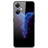 For One Plus Nord CE 3 Lite 5G Case N30 Tempered Glass Hard Back Cover for Oneplus Nord CE3 Lite N 30 Cases Bumper 3lite CE3Lite