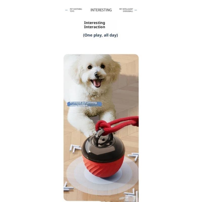 Smart Dog Toy Ball Electronic Interactive Pet Toy Moving Ball Rope Usb 3 Modes Automatic Moving Bouncing For Puppy Chew Products