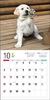 Calendrier 2024 Labrador Retriever (Calendrier Seibundo Shinkosha)