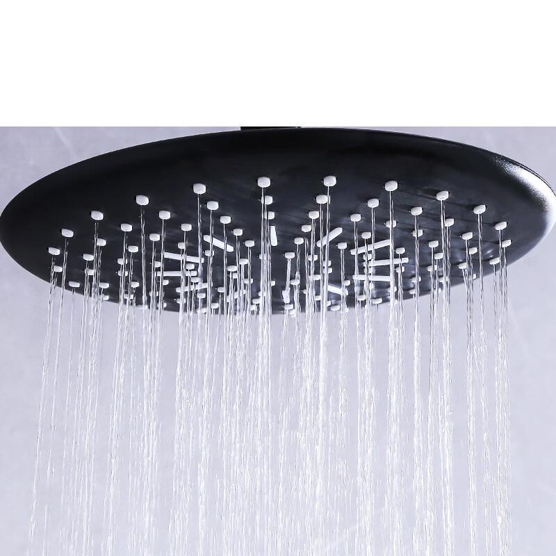 TLXT Stainless Steel Shower Head Set