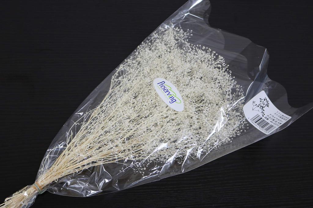 Takeda Large Length 350mm Baby's Breath, White, Bundle, Approx. [40-0312]