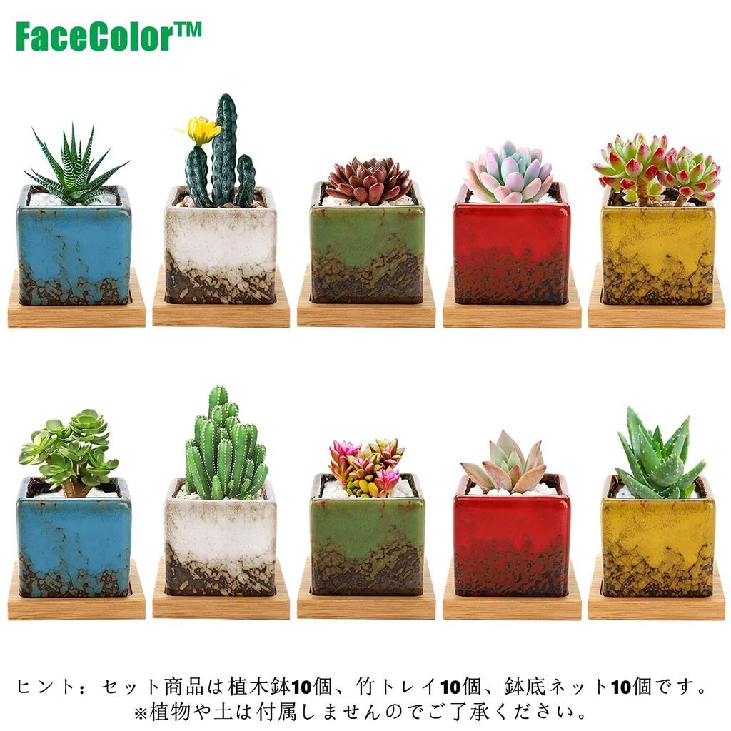 Facecolor Sukkulent Størrelse Stilig Keramisk Glasert Sett med Egnet for Innendørs og Utendørs Små Firkantet Drenering og Bunnnett Ikke Potter, 2,