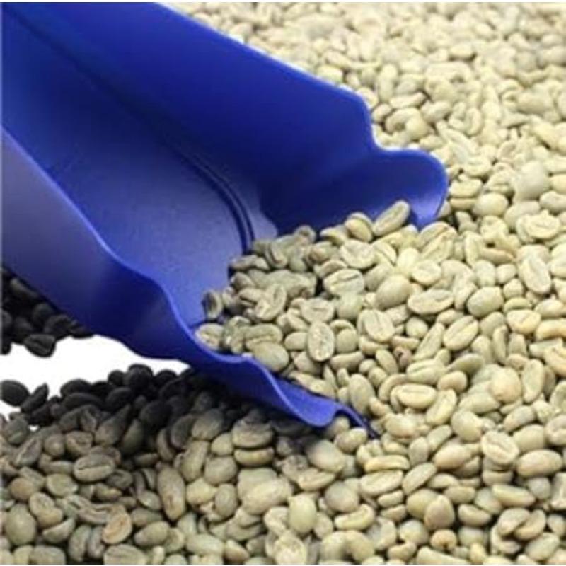 Coffee Bean Tray Coffee Beans Sample Tray Display Dish Plate Container Snack Container Plastic Containers for Fruit Coffee