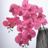 5 Pack Artificial Phalaenopsis Orchid Stems Realistic Silk Flowers for Elegant Home Table Centerpiece Decoration