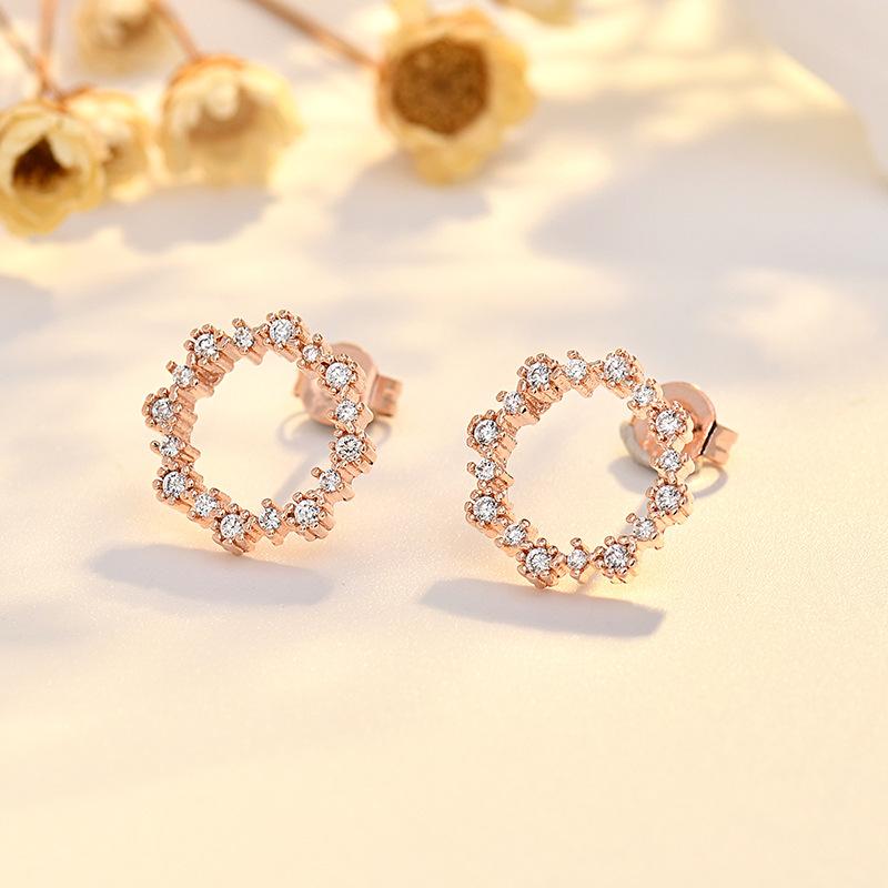 New Zircon Ring Earrings for Women Simple Niche Design and Personalized Versatile Earrings Trendy Earrings