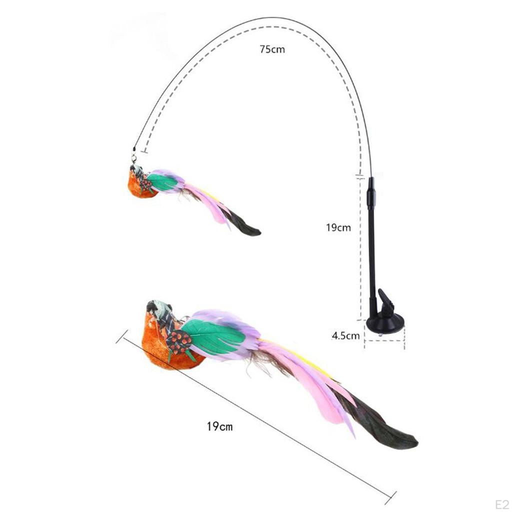 Interactive Cat Toys Feather Exercise Toy Portable for Indoor Cats Stick Pet Kitten