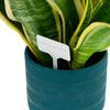 Gardenline Komplet 25 Tabliczek Do Opisywania Roślin 13,5X5,5Cm Z Ołówkiem Eva2734
