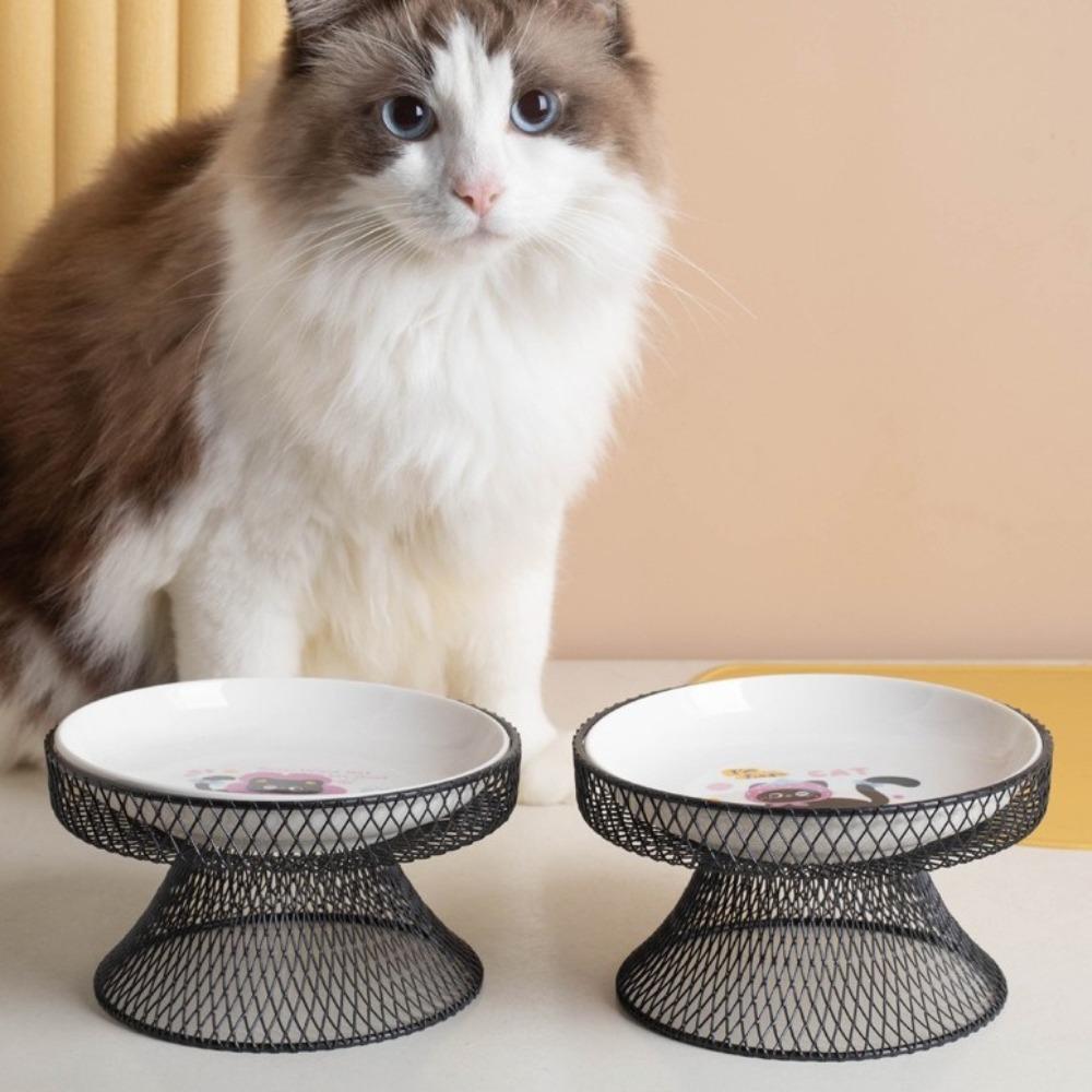 Non-Slip Elevated Pet Bowl No Spill with Stand Dog Water Bowl Large Capacity Cat Feeding Station Wet And Dry Food