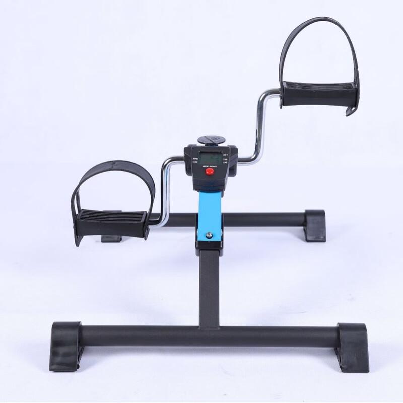 WEZHO Dual-Use Fitness Bike