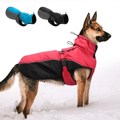 Bekleidung & Schuhe – Mäntel & Jacken für Hunde
