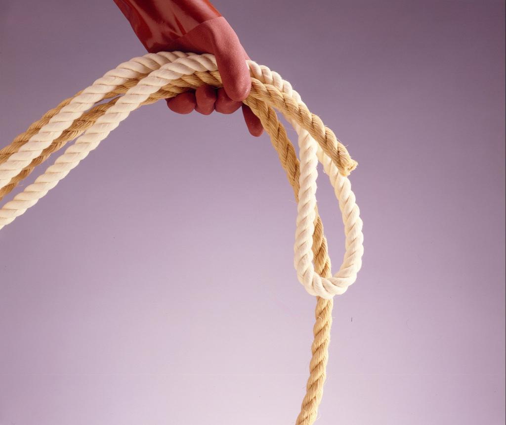 Showa Gloves Simple Packaging New Vinyl Size 10 Pairs [10-Pack] Robe, M,