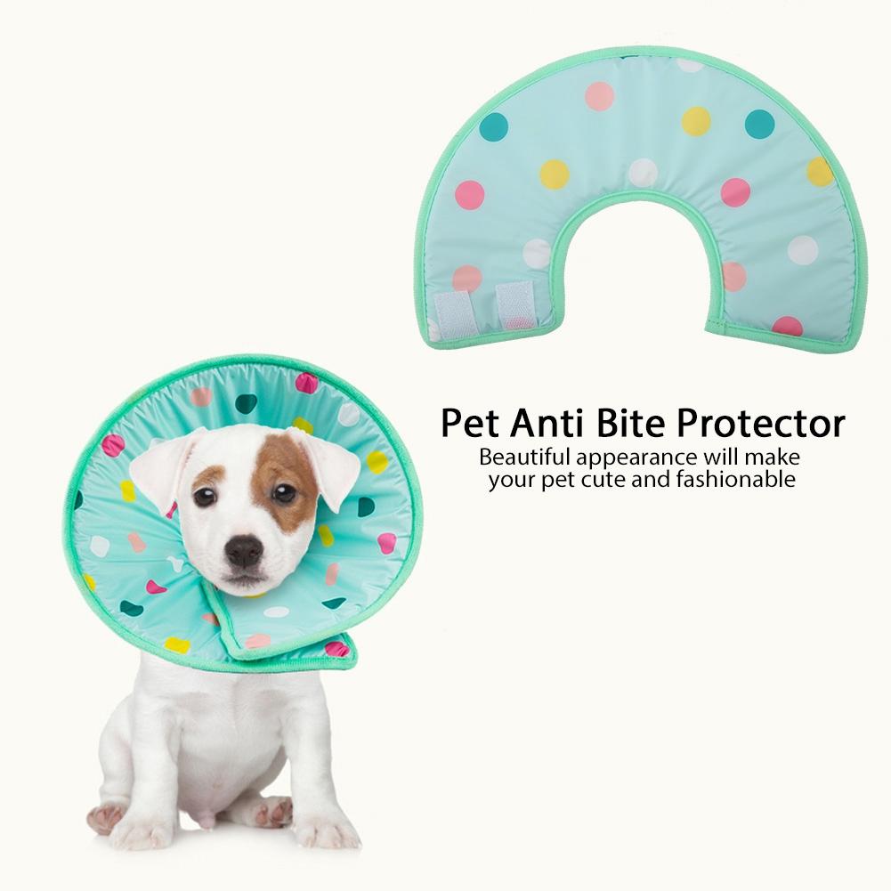 cone protector for dogs