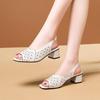 Versatile Thick Heel Fashionable Hollow Fish Mouth Sandals for Women Summer Mid Heel Buckle Sandals
