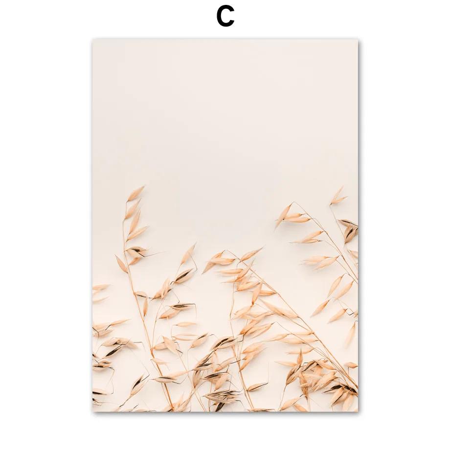 Beige Plant Grass Leaves Dandelion Reeds Posters And Prints Canvas Painting Nordic Wall Art Pictures For Living Room Home Decor