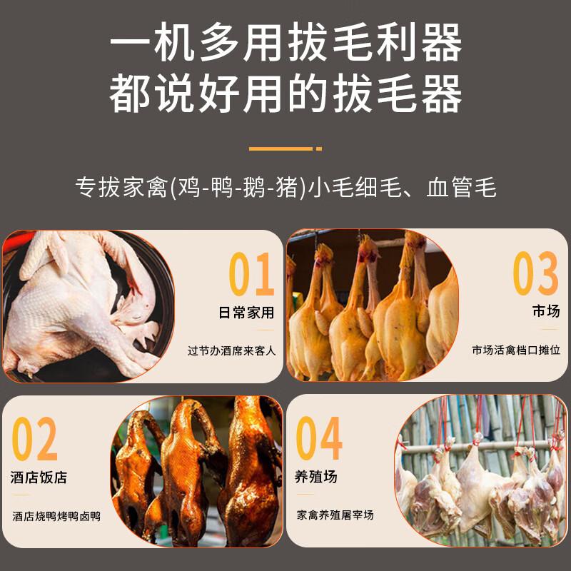 Plumeuse à volaille portable manuelle entièrement automatique pour poulet caille, outil de plumaison, machine électrique d'épilation