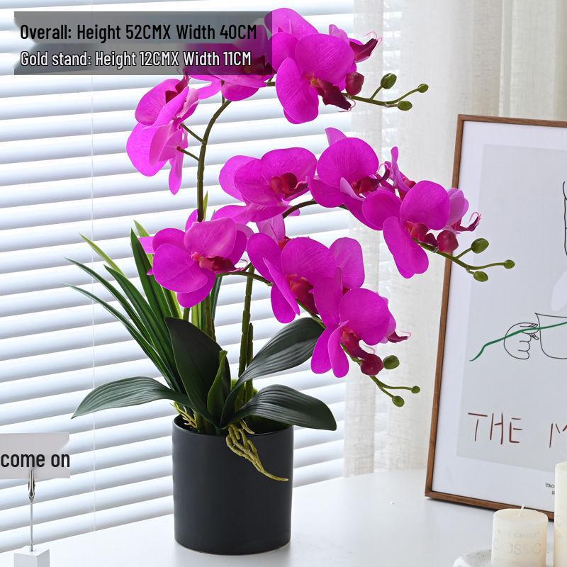 Artificial Phalaenopsis Floral Arrangement for Living Room Display - Potted Decoration for TV Cabinet