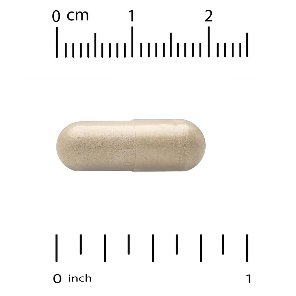 Milk Thistle Phytosome, 160Mg, 60 Veggie Caps