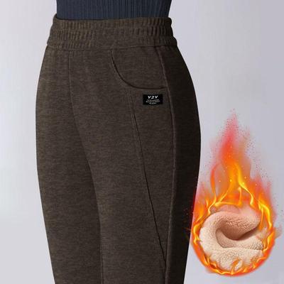 Women's Stylish Straight-Leg Fleece-Lined Pants, 2026 Autumn/Winter Collection - Eight-Tenths Length for Outdoor Wear.