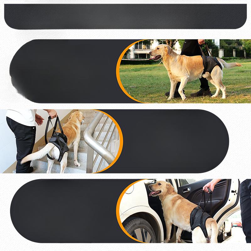 Outdoor Dog Hind Leg Support Straps for Disabled and Elderly Dogs, Pet Supplies for Assisted Rehabilitation and Travel