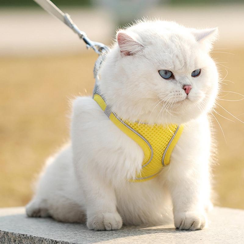 Cats Go Out Anti-breakaway båndvest Justerbar sele