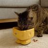 Cartoon Ceramic Cat Bowl High Footed Anti-ant Cat Bowl Slow Eating Bowl  Cat Feeding