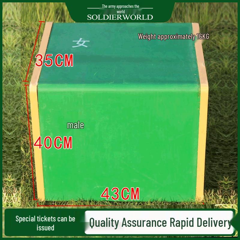 Student Physical Fitness Step Tester