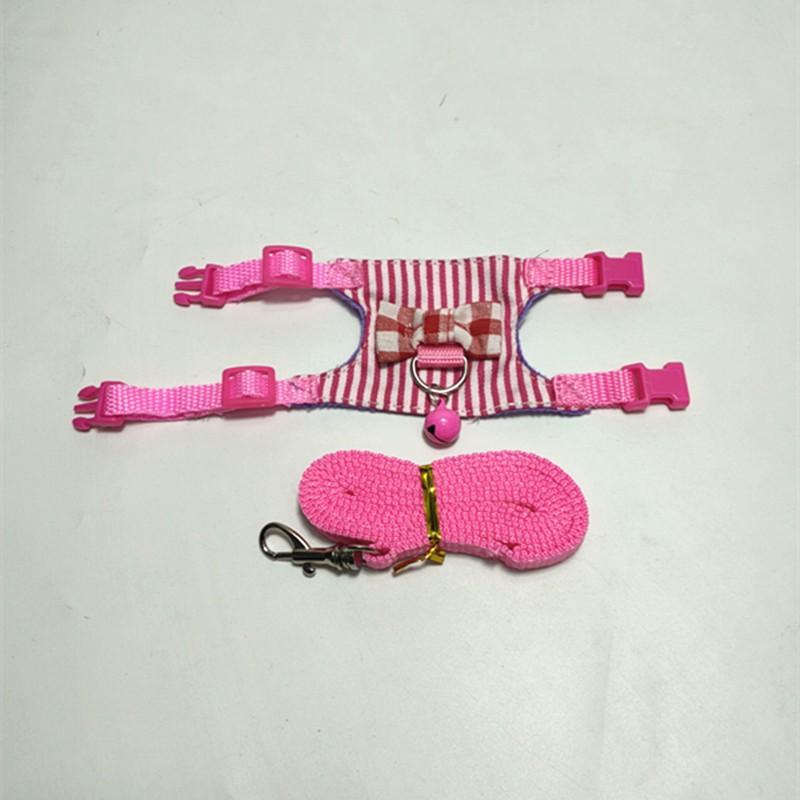 

Pet Ferret Leash To Tether The Ferret Leash Snow Leash Squirrel Leash Small Pet Chest Dragon Special Leash. One Size