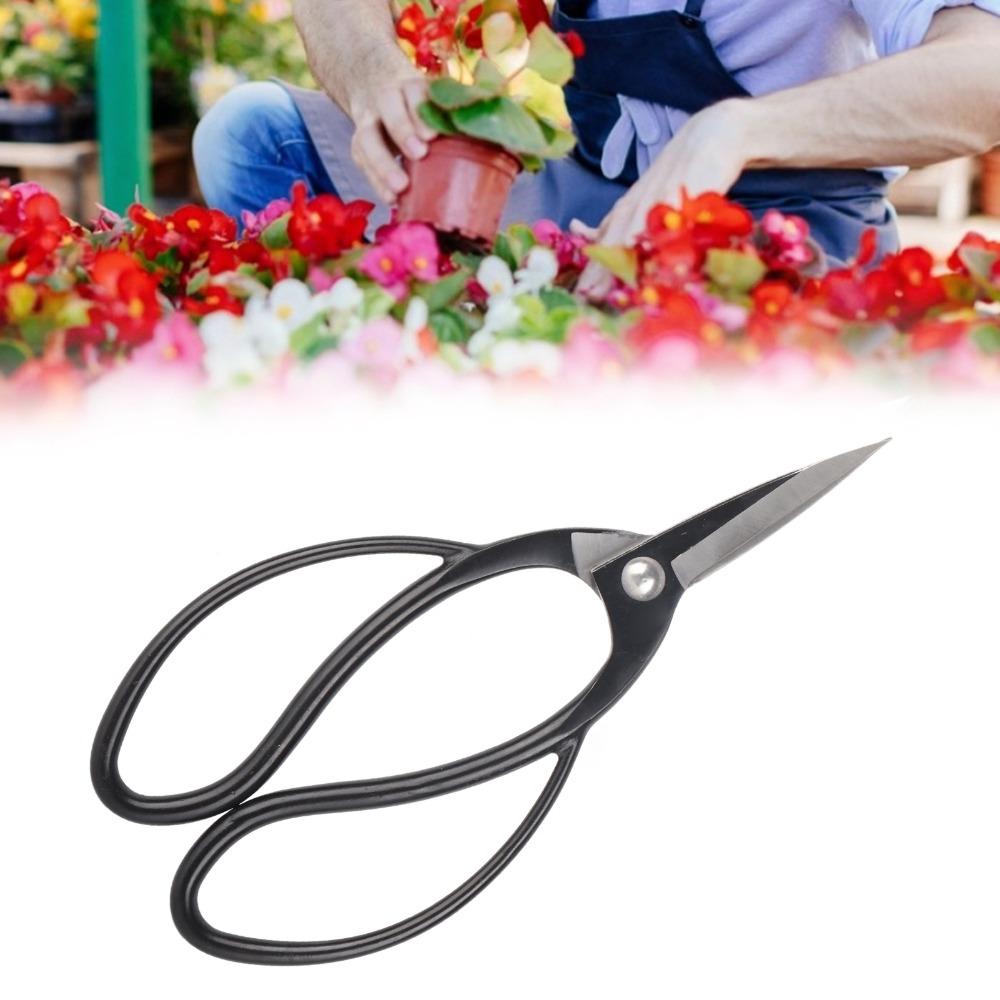 Butterfly Handle Garden Root Shears Black Branch Scissors Professional Bonsai Pruning Scissors